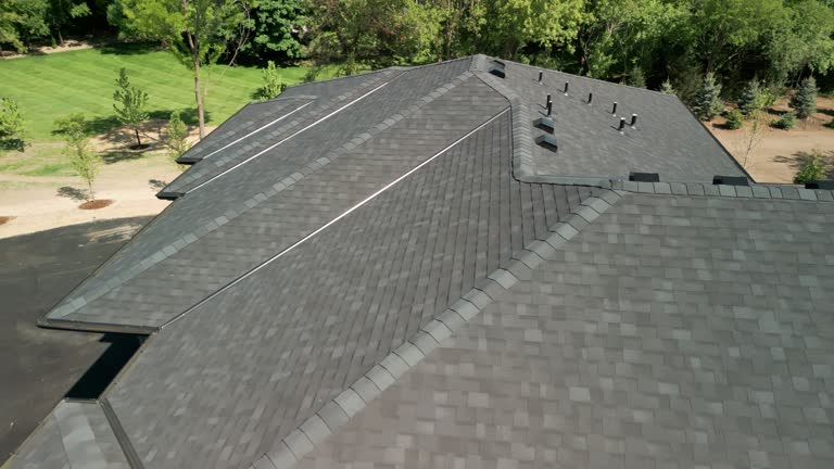 Best Roof Coating and Sealing  in Birch Run, MI