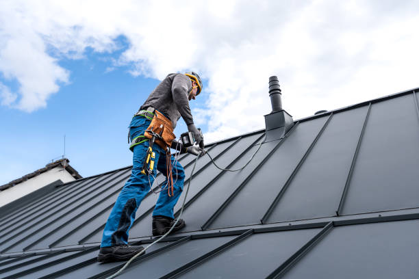 Best Chimney Flashing Repair  in Birch Run, MI